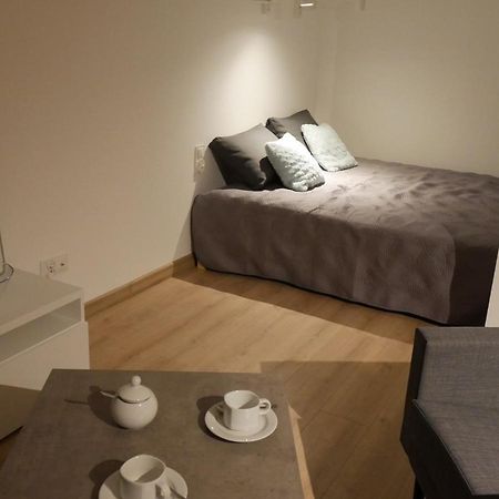 Auschwitz New Flat For Rent Air Conditioning In The Apartament Oswiecim Nowe Mieszkanie - Centrum Klimatyzacja W Mieszkaniu Apartment Luaran gambar