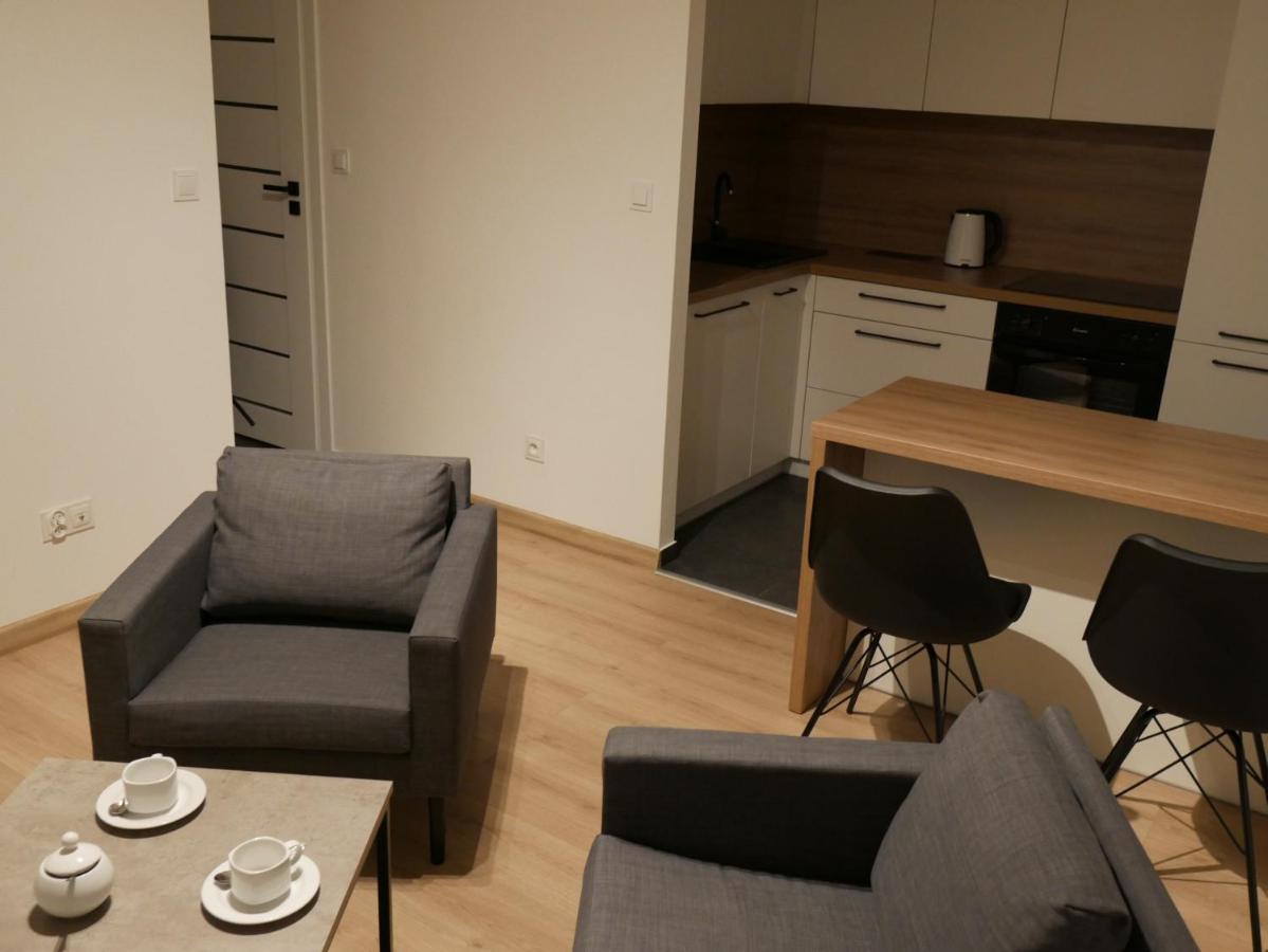 Auschwitz New Flat For Rent Air Conditioning In The Apartament Oswiecim Nowe Mieszkanie - Centrum Klimatyzacja W Mieszkaniu Apartment Luaran gambar
