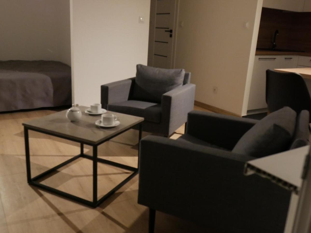 Auschwitz New Flat For Rent Air Conditioning In The Apartament Oswiecim Nowe Mieszkanie - Centrum Klimatyzacja W Mieszkaniu Apartment Luaran gambar