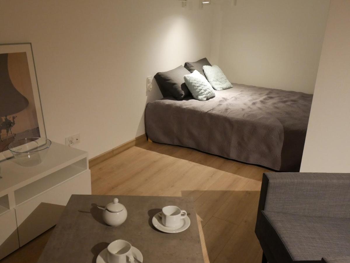 Auschwitz New Flat For Rent Air Conditioning In The Apartament Oswiecim Nowe Mieszkanie - Centrum Klimatyzacja W Mieszkaniu Apartment Luaran gambar